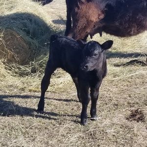 Meet your Posher, Cori